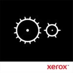 Xerox 115R00127 Banda De Transferencia 200K -